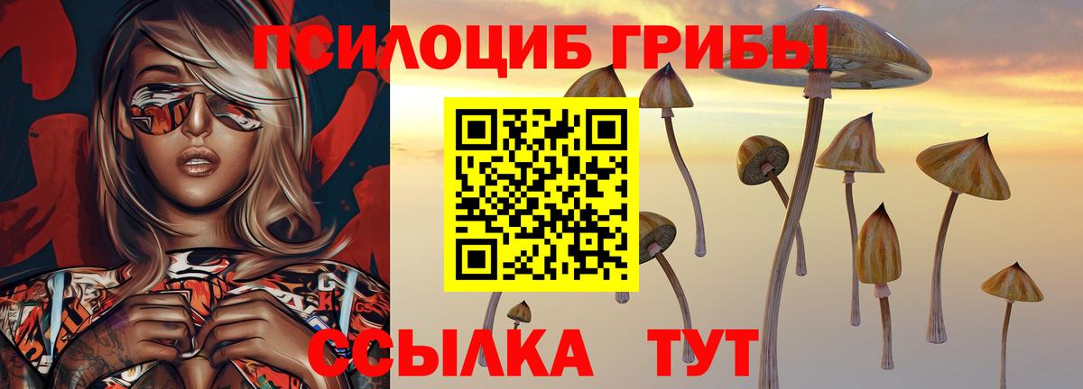 Псилоцибиновые грибы Magic Shrooms  Вход с VPN  наркота  Галлюциногенные грибы MAGIC MUSHROOMS  Ступино 